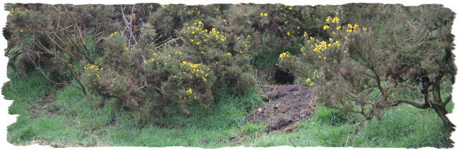 Image12