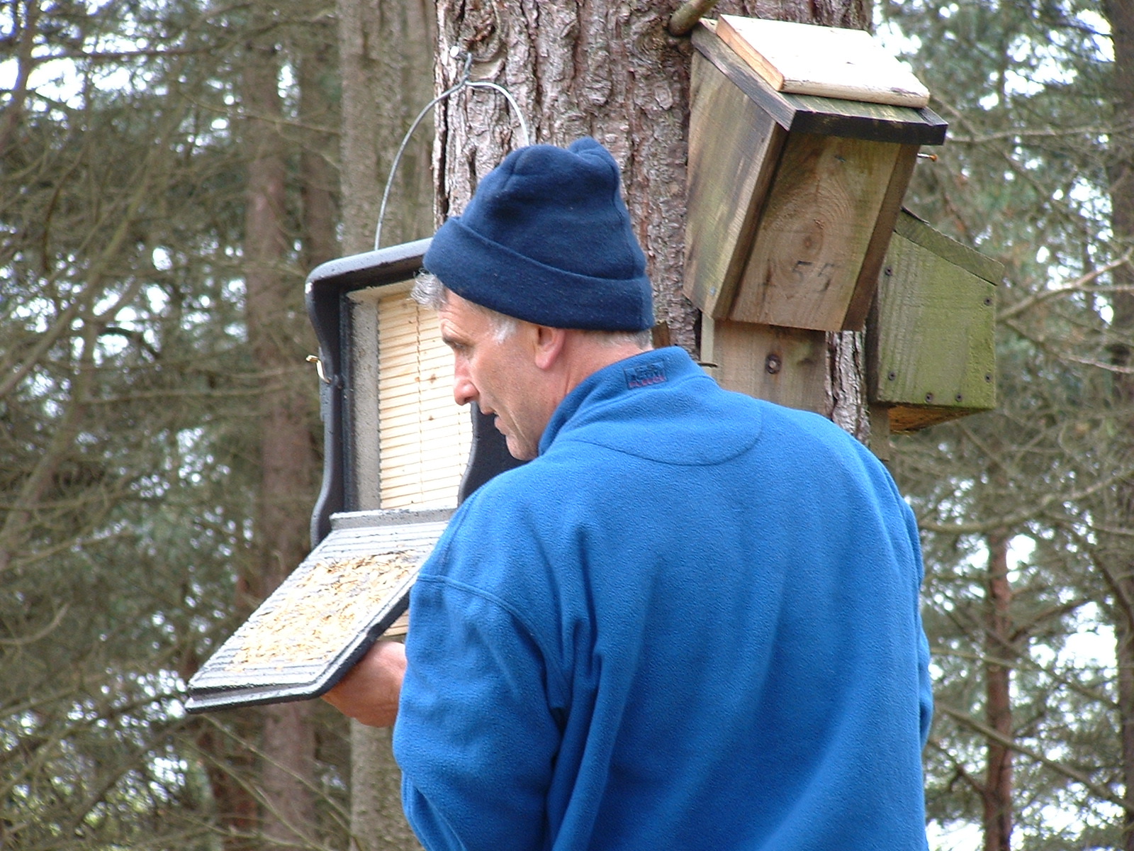 tentsmuir 004